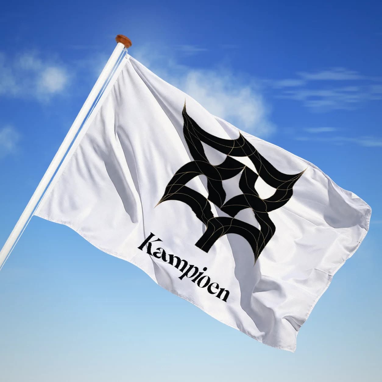 Kampioen — Modern heraldiek