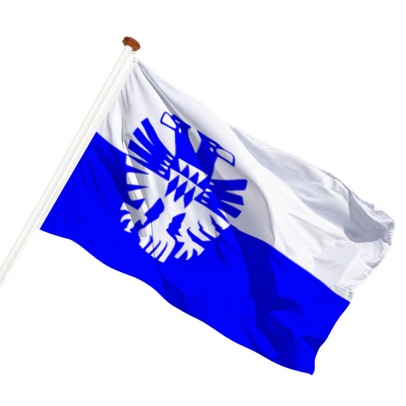 Vlag van Arnhem