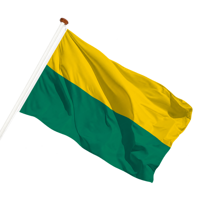 Vlag van Den Haag