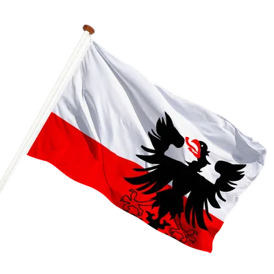 transparent background