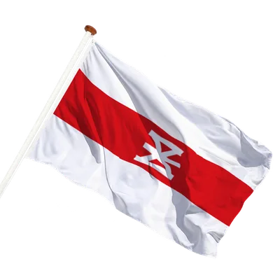 transparent background