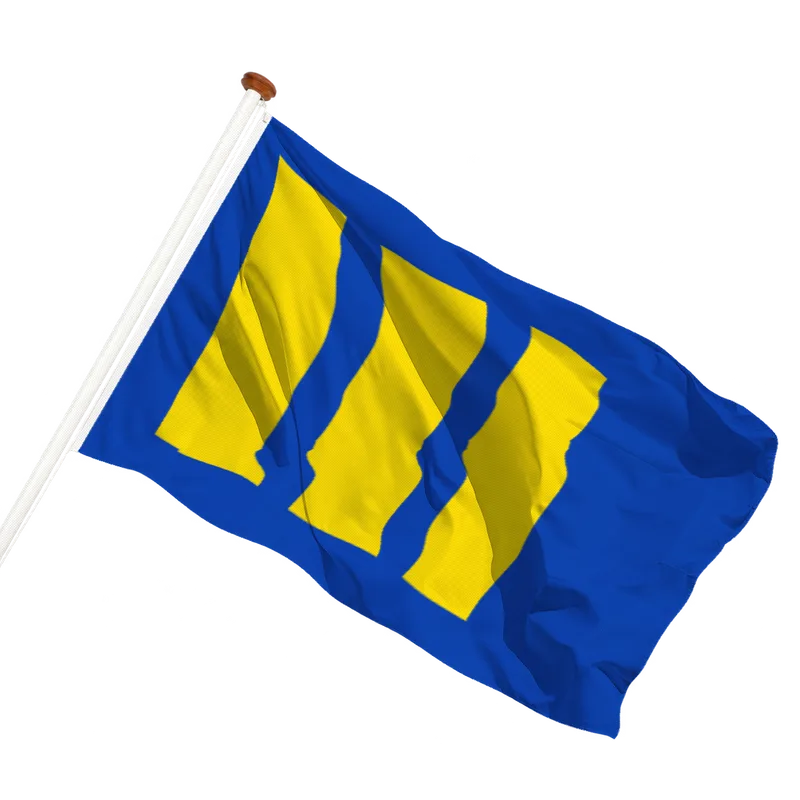 Flag of Budel