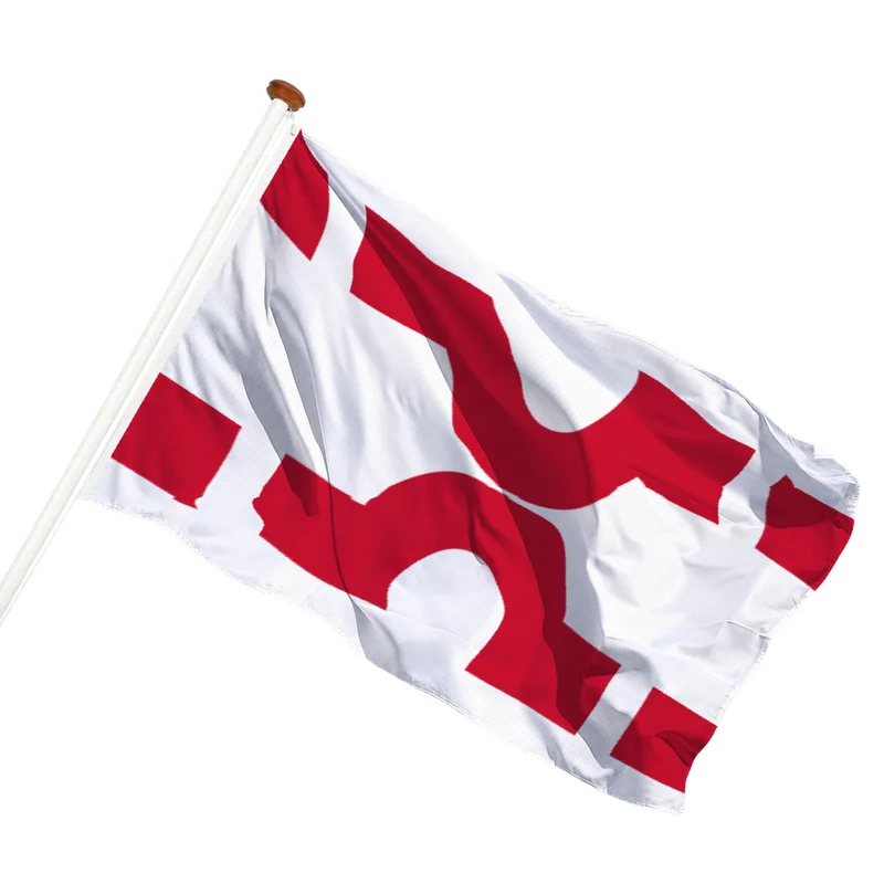 Flag of Losser