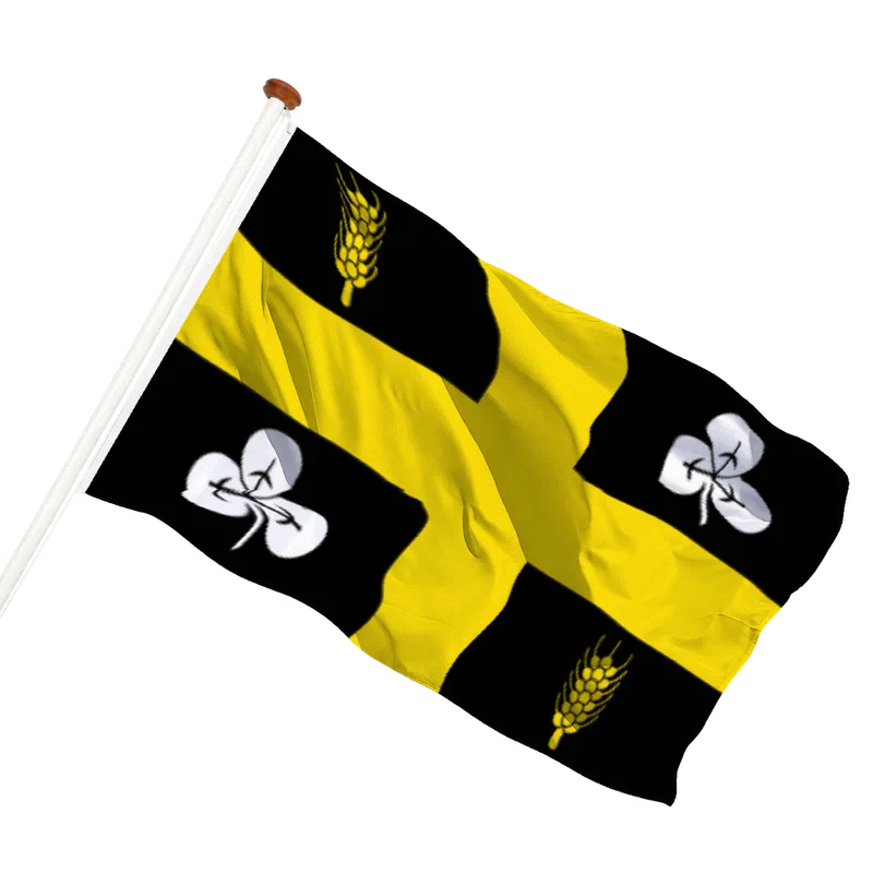 Flag of Raalte
