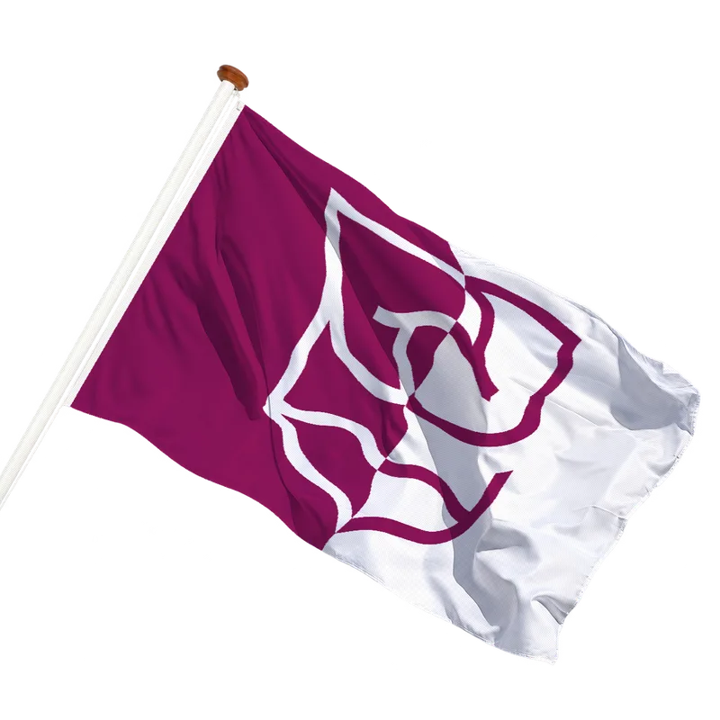 Flag of Rijssen-Holten