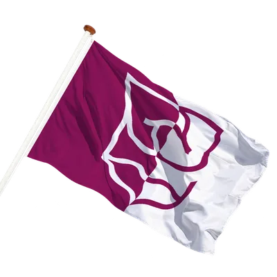 transparent background