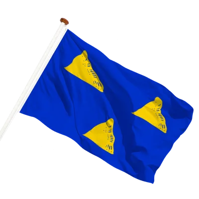 transparent background