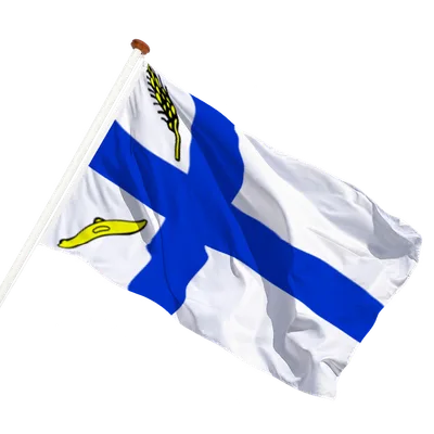 transparent background