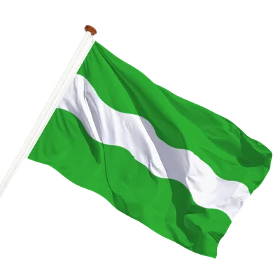 transparent background
