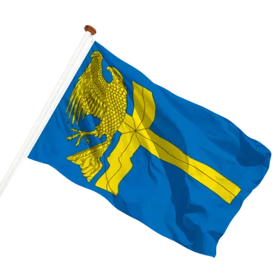 transparent background