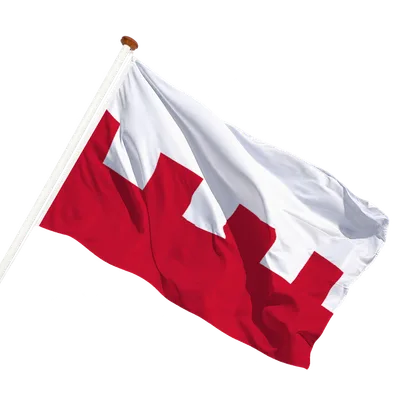 transparent background
