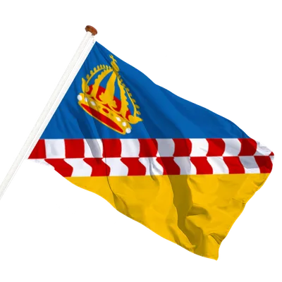 transparent background