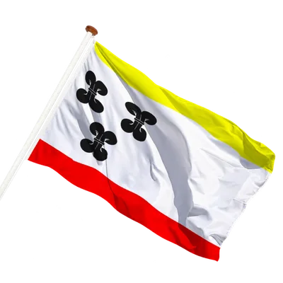 transparent background