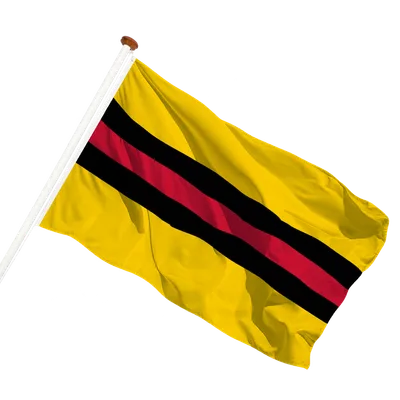 transparent background