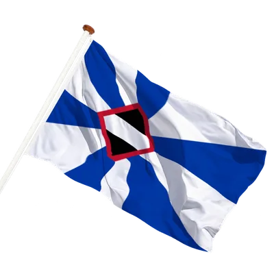 transparent background