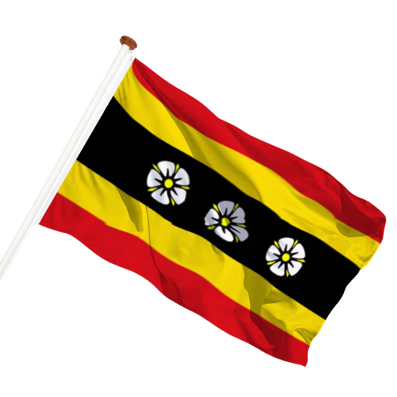 Flag of Ruinen