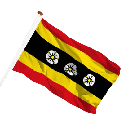 transparent background