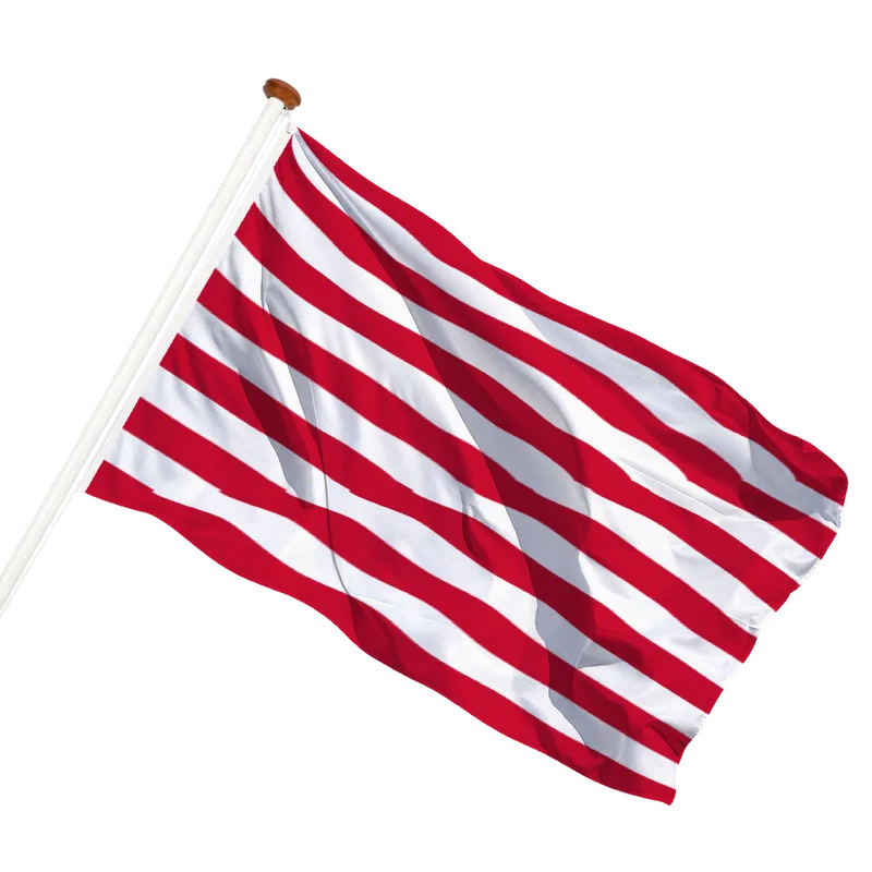 Flag of Goes