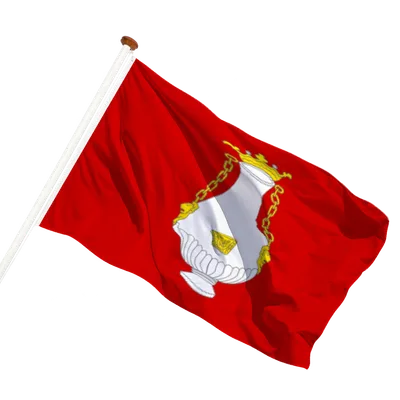 transparent background