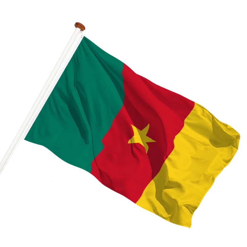 Flag of Cameroon