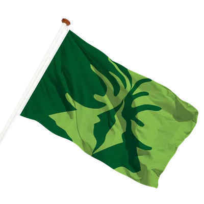 transparent background