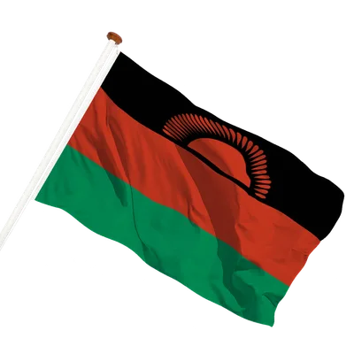 transparent background