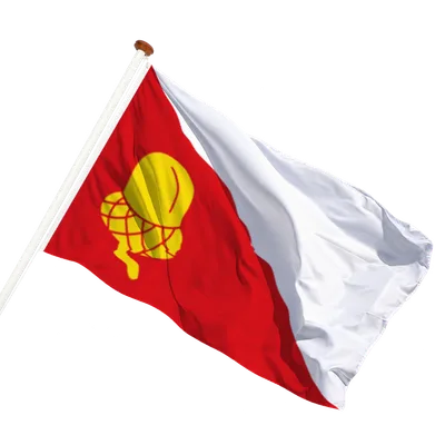 transparent background