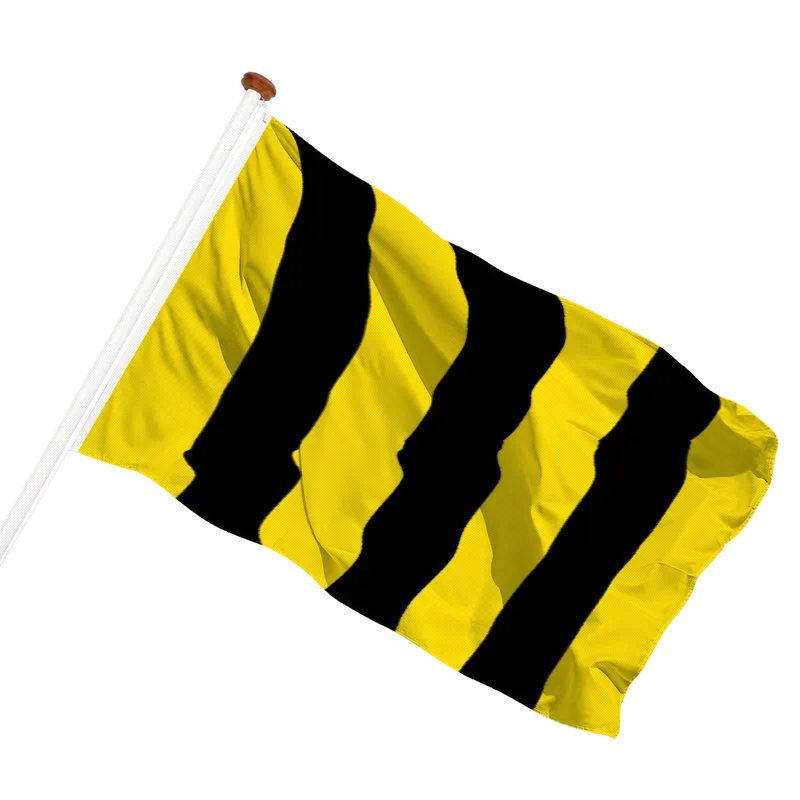 Flag of Kruiningen