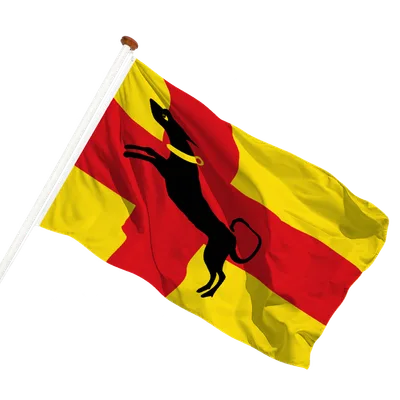 transparent background