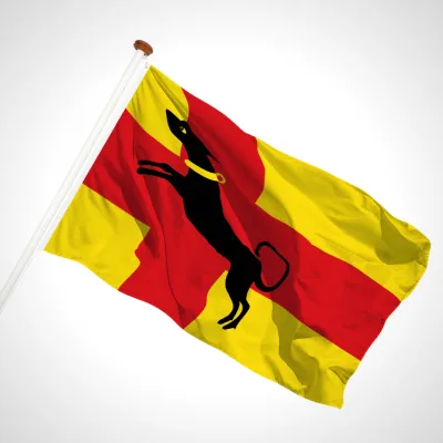 white background