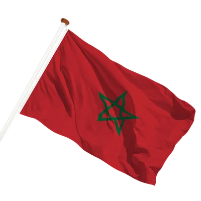 transparent background