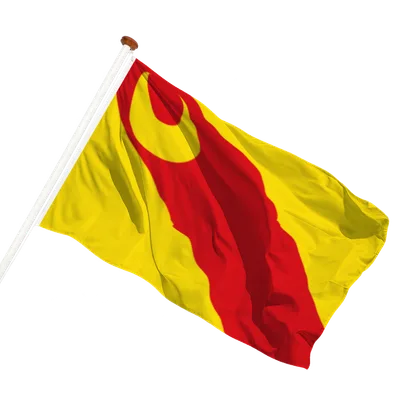 transparent background