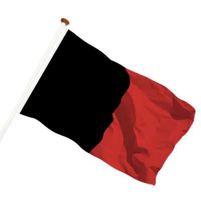 transparent background