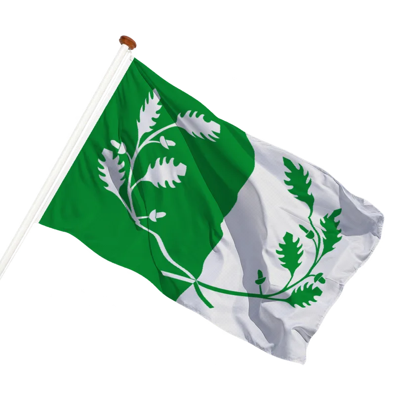 Flag of Eeklo