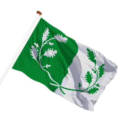 transparent background