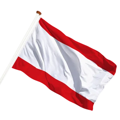 transparent background