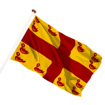 transparent background