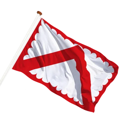 transparent background