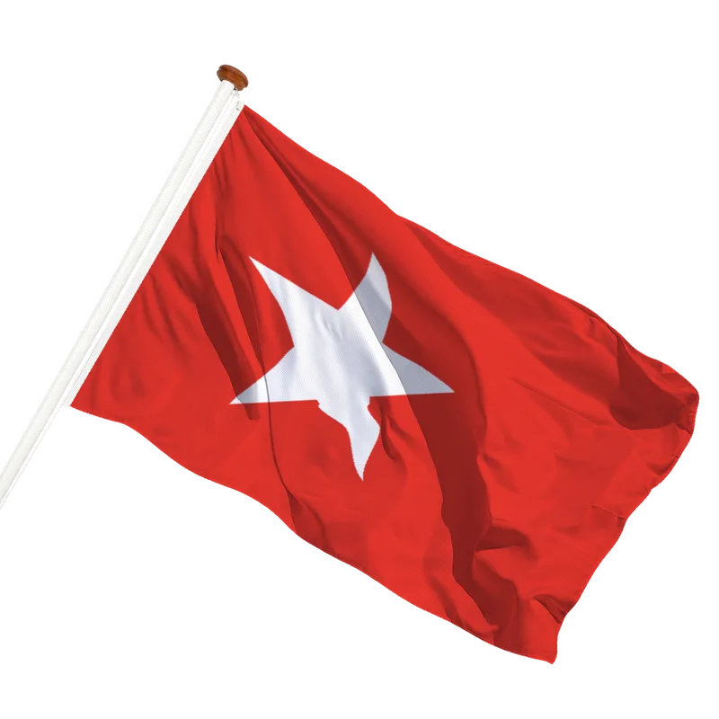 Flag of Maastricht