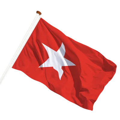 transparent background