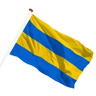 transparent background
