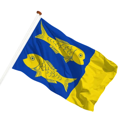 transparent background