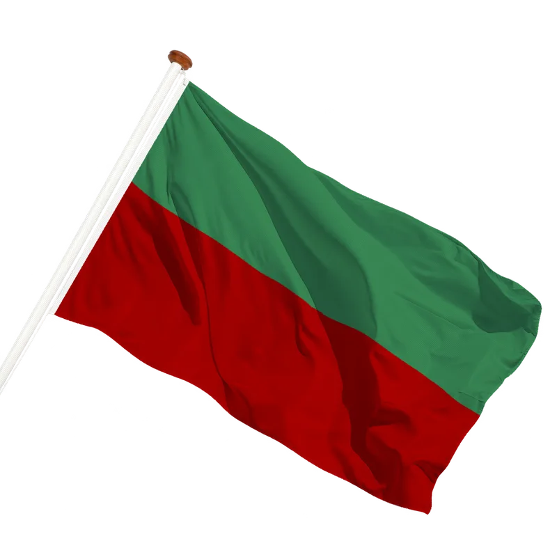 Flag of Swalmen
