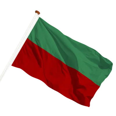transparent background