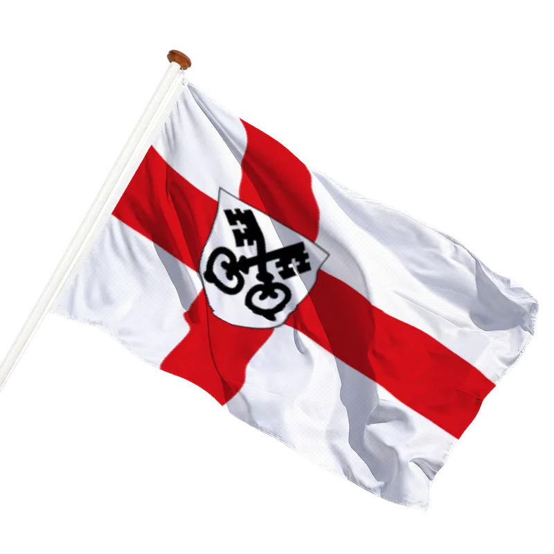 Flag of Havelte