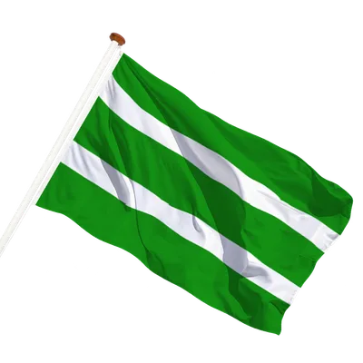 transparent background