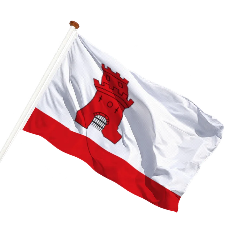 Flag of Rijnsburg