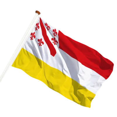 transparent background