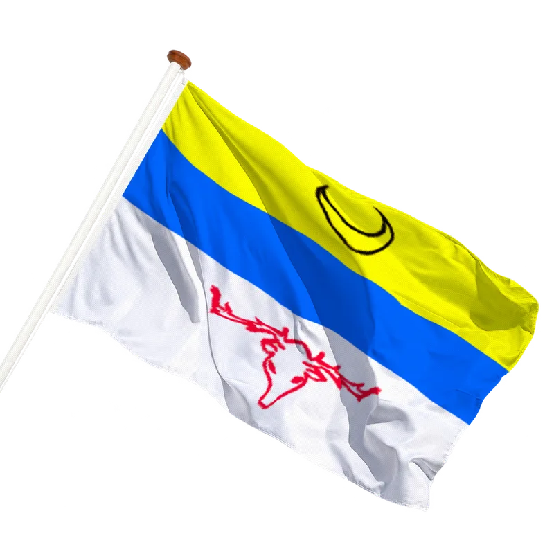 Flag of Leidschendam