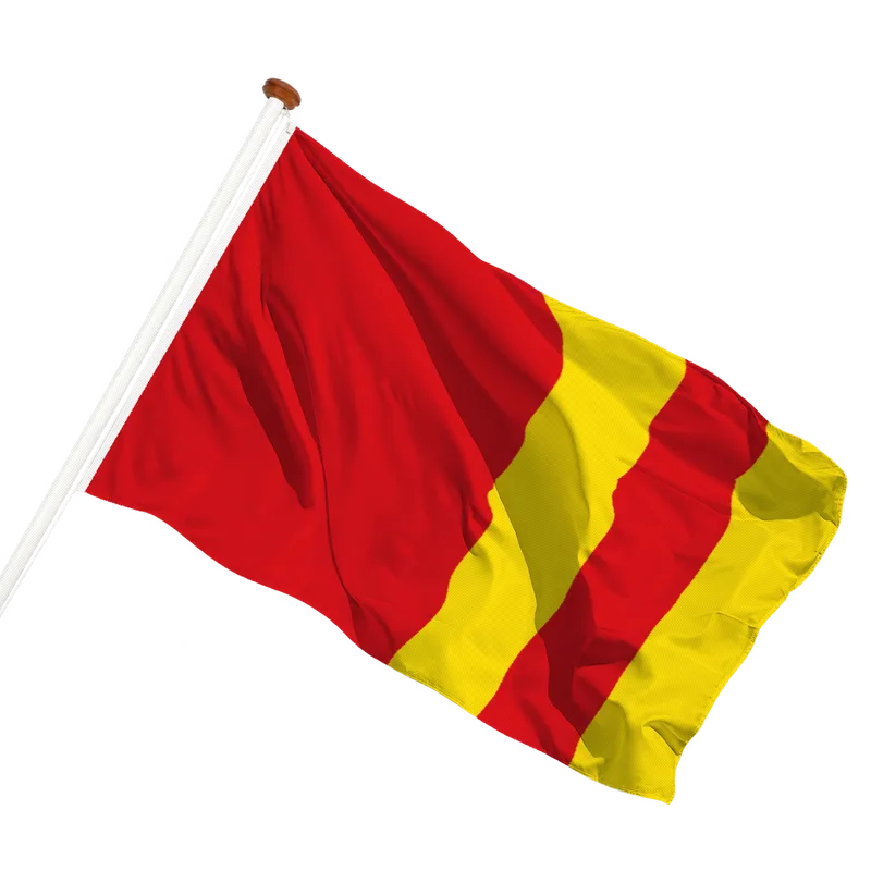 Flag of Ter Aar